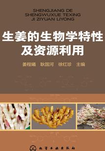 我独掌轮回