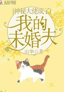 英雄传承者