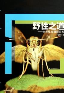 觉来双泪垂