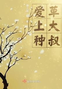 极品匹夫