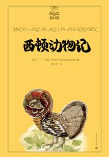 梦寻道