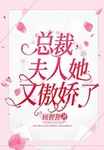 老婆我真不是有意骗你离婚