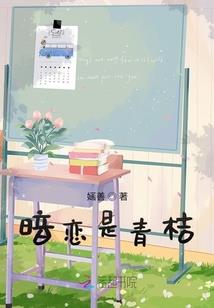 宠物小精灵之夜氏兄妹