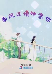 我真的只是个开网店的