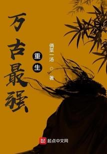我为九州护龙使
