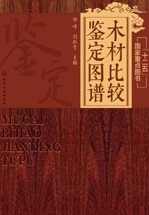 神与使