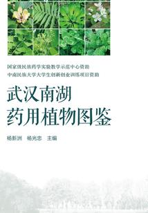 奇怪的母子