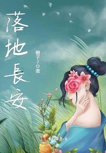 蝶恋花晏婉儿传