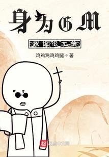 盗破无极