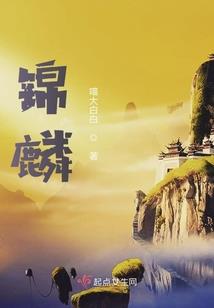 从百姓到将军