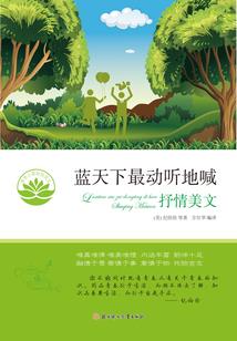 无数个周末与夜晚