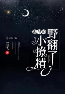 混沌情橼