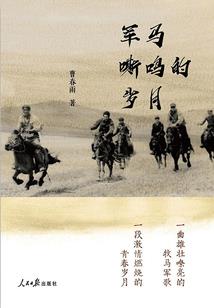 凉胧传