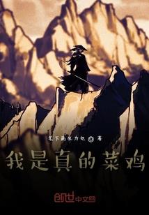 菜刀怪侠