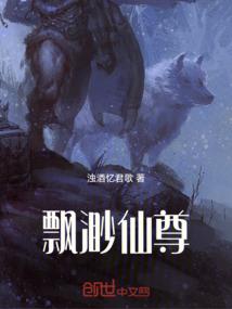 斯林正传2