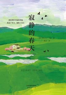 鬼手天佑