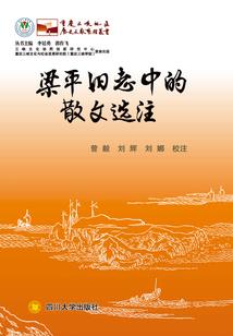 凝望飞升