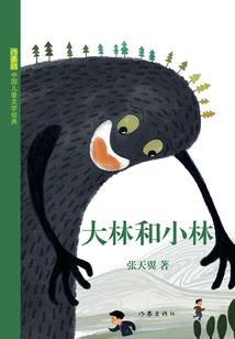 无限轮回风暴