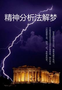 游江湖之王爷苦相随