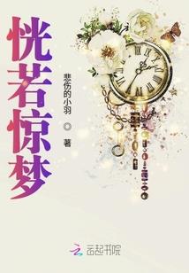 吾心安于阑珊处