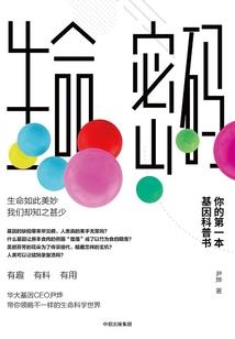 你是我手中的风筝