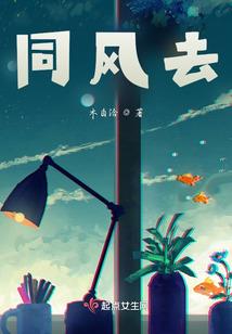执天圣记
