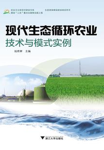 我的爱情