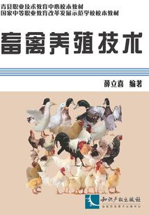 天墟之主