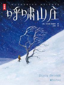你就是我的灰姑娘!
