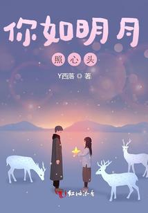 小灰修仙记