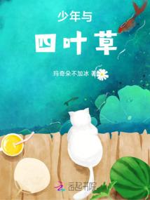 车神之极速传说