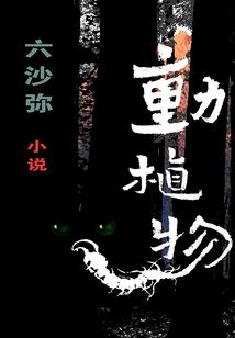 大圣仙体