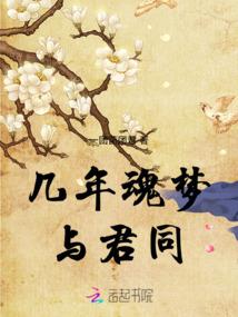 被穿越之南宋风云