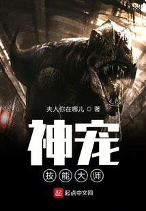 破界之征