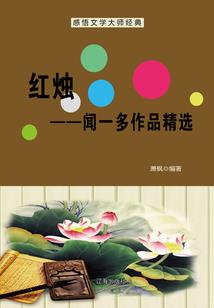 极品皇后追夫记