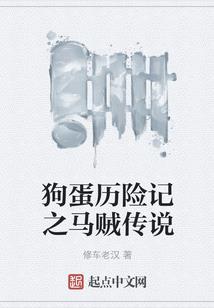 琵琶幽怨多