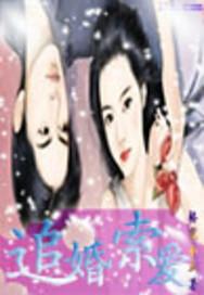 九域辰雷