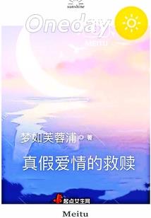精灵的传颂