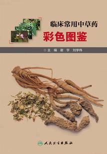 护道诸天万界