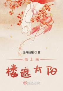 护国夫人是马甲