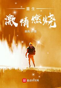 怪侠夜无影
