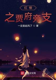 极星护法