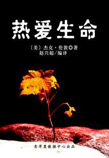 寻找灯塔的人