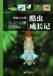 守望先锋之新生