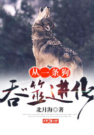 绝顶风尘