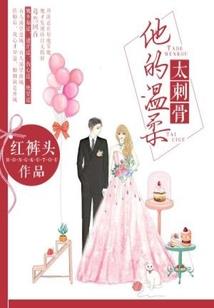 甜宠王妃一加一