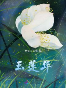 DM探险者