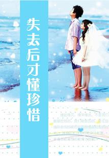 99天宠妻日记