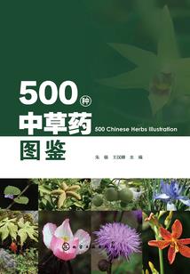 天仙的后裔