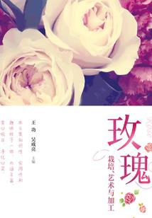 若不相见，便不相欠